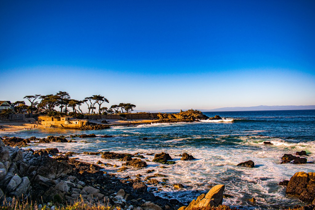 6 Dog-Friendly Activities on the Monterey&nbsp;Peninsula
